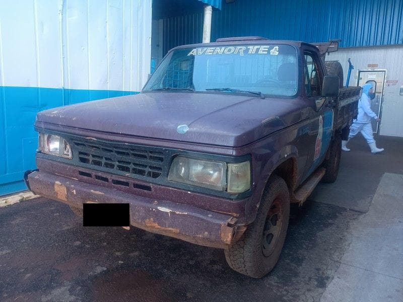 CHEVROLET  D20 CUSTOM S 4.0, 1995/1995, Placa FINAL 2 (PR),  (Ref.: DAM) — foto do lote